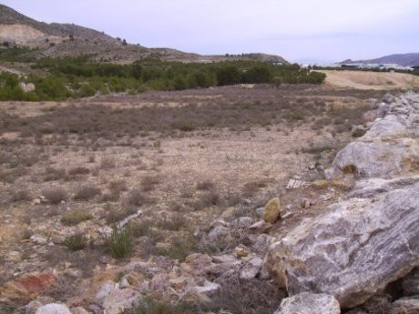 Terreno industrial en venta - Calasparra - foto 4