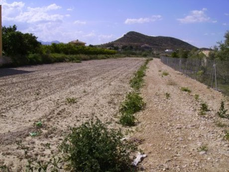 Terreno urbano en venta - Valentín - foto 4