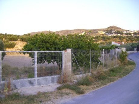 Parcela 2515m² en venta - Calasparra - foto 2