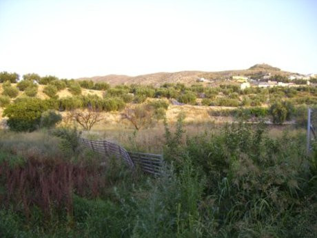 Parcela 2515m² en venta - Calasparra - foto 4