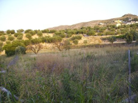Parcela 2515m² en venta - Calasparra - foto 5