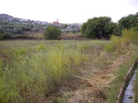 Parcela en venta - Calasparra