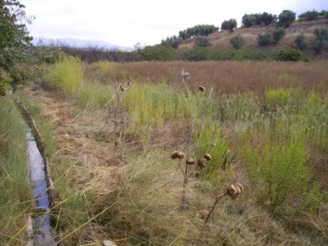 Parcela en venta - Calasparra - foto 3