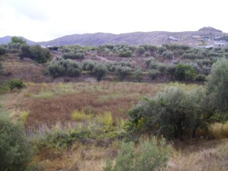 Parcela en venta - Calasparra - foto 4