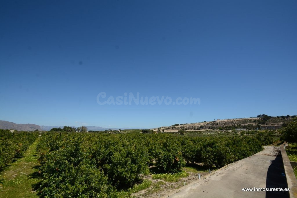 ¡¡ GRAN OPORTUNIDAD !! Finca rústica plantada de naranjos en - foto 2