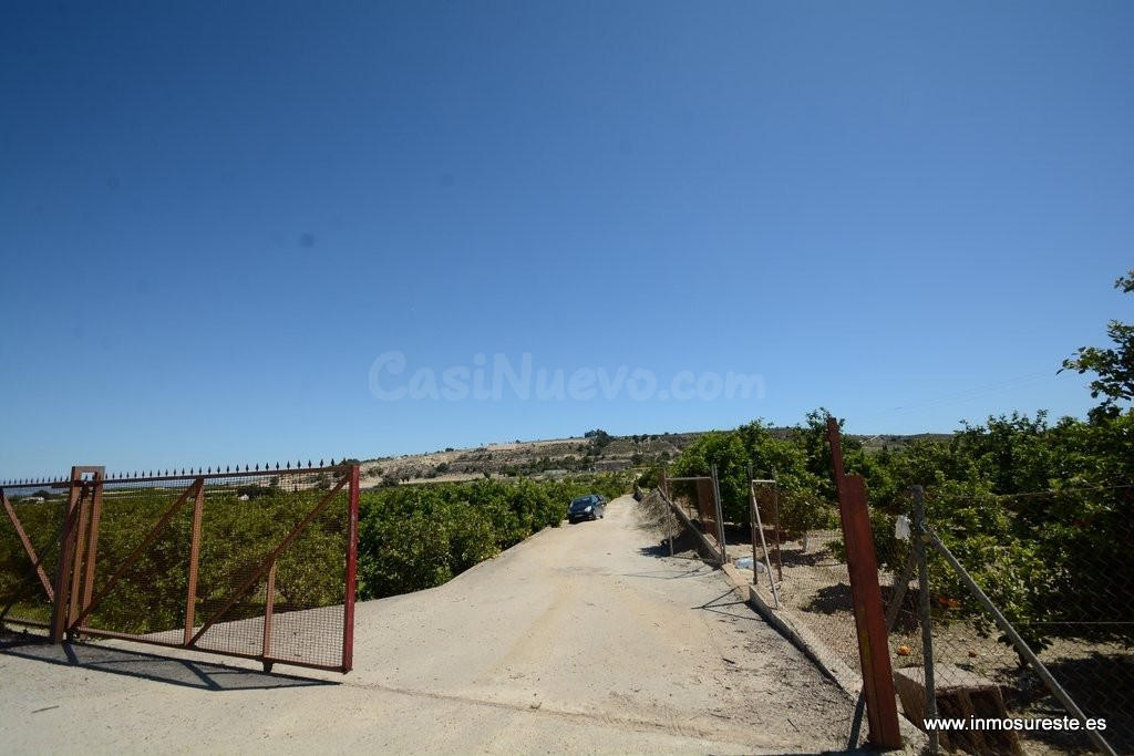 ¡¡ GRAN OPORTUNIDAD !! Finca rústica plantada de naranjos en - foto 3