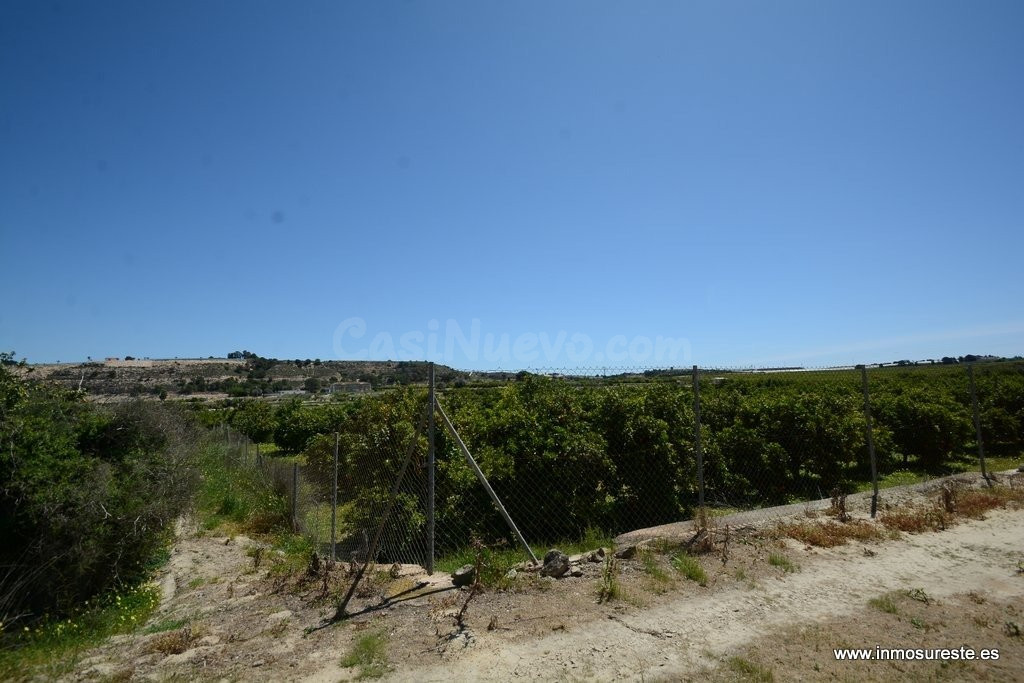 ¡¡ GRAN OPORTUNIDAD !! Finca rústica plantada de naranjos en - foto 4