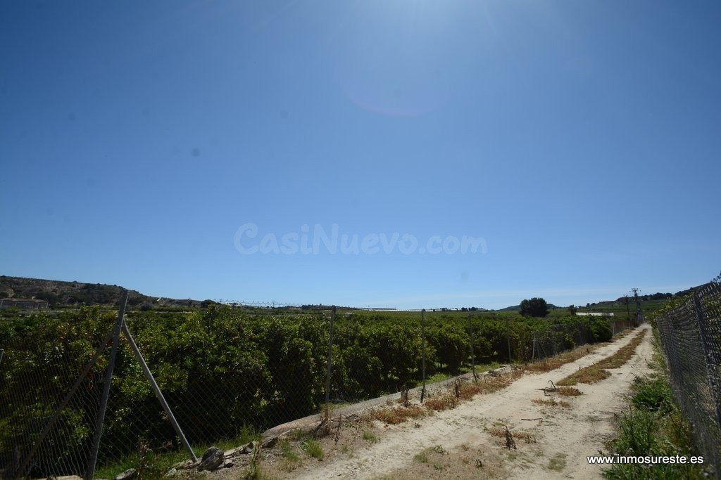 ¡¡ GRAN OPORTUNIDAD !! Finca rústica plantada de naranjos en - foto 5