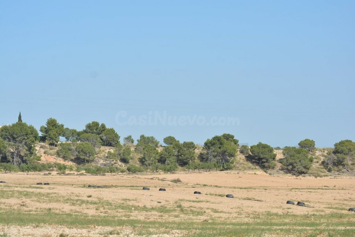 ¡¡ PRECIO REBAJADO !! Finca rústica de 20,7 Ha. en Murcia en - foto 4