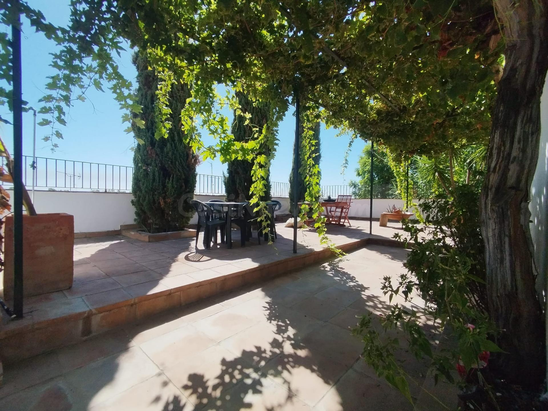 Preciosa casa en Gelves. - foto 3