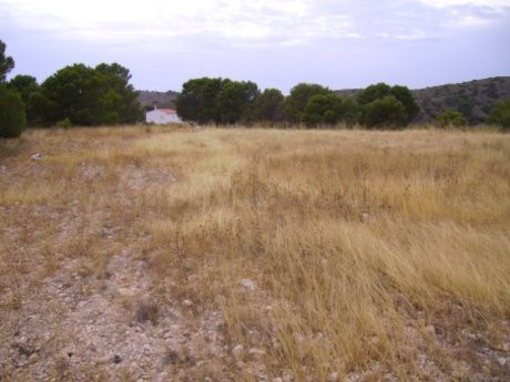 Parcela en venta - Calasparra