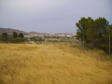 Parcela en venta - Calasparra - foto 2