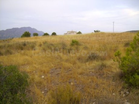 Parcela en venta - Calasparra - foto 5