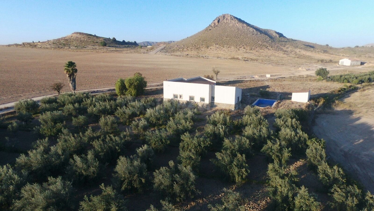 Parcela en venta - Calasparra