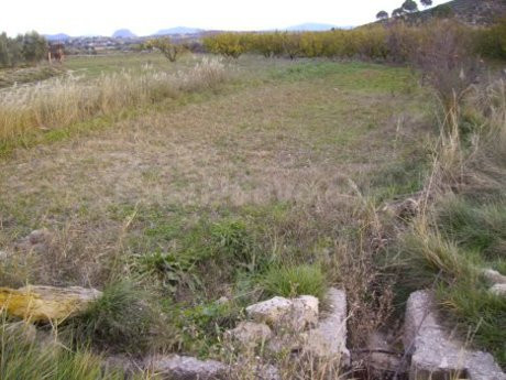 Parcela en venta - Calasparra - foto 5