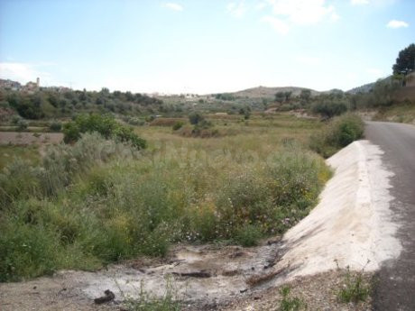 Parcela en venta - Calasparra - foto 2