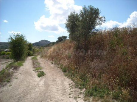 Parcela en venta - Calasparra - foto 3