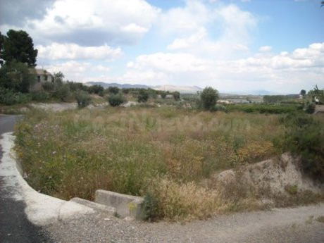 Parcela en venta - Calasparra - foto 4