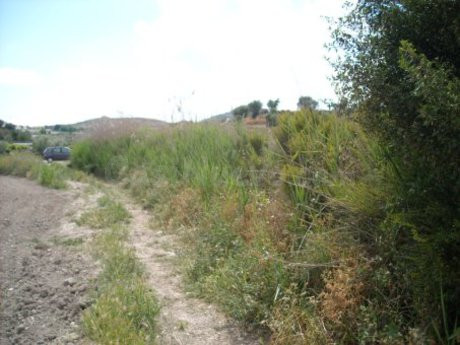 Parcela en venta - Calasparra - foto 5