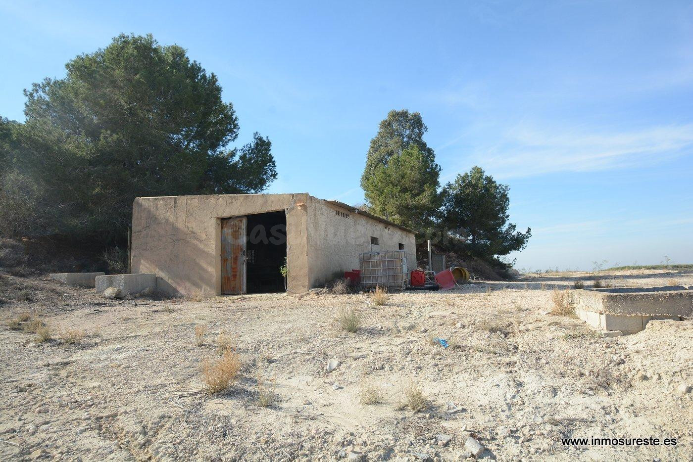 !! GRAN OPORTUNIDAD !! Finca rústica en la Dehesa de Pinoher