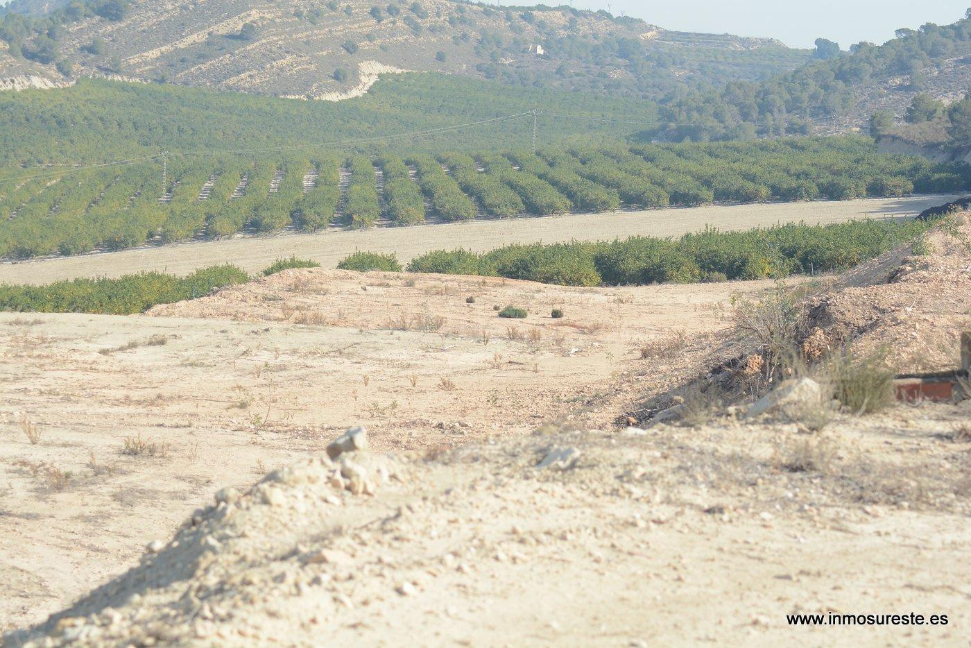 !! GRAN OPORTUNIDAD !! Finca rústica en la Dehesa de Pinoher - foto 4