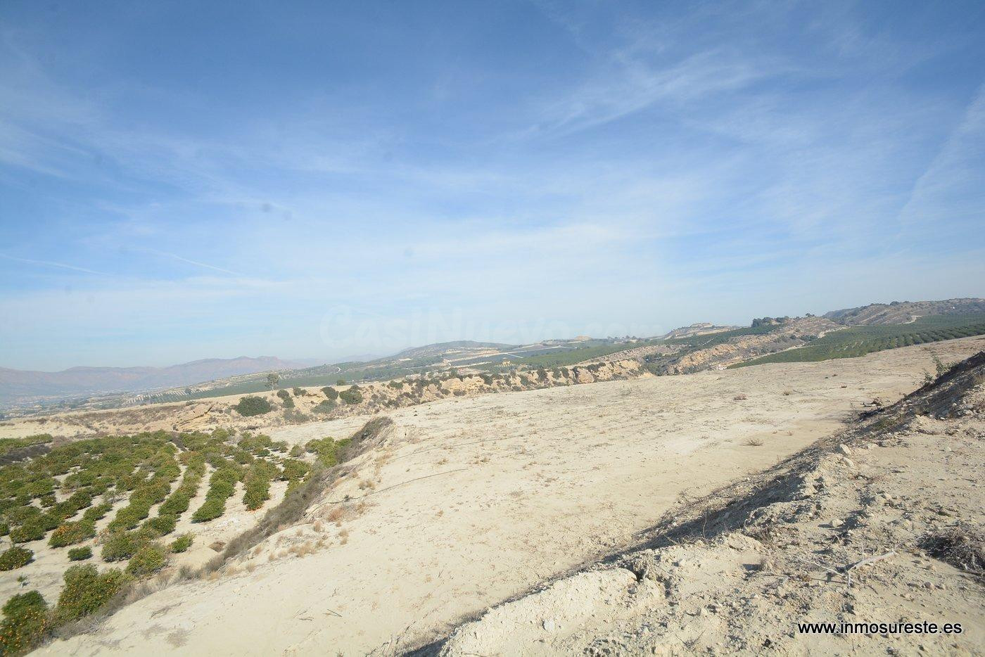 !! GRAN OPORTUNIDAD !! Finca rústica en la Dehesa de Pinoher - foto 5