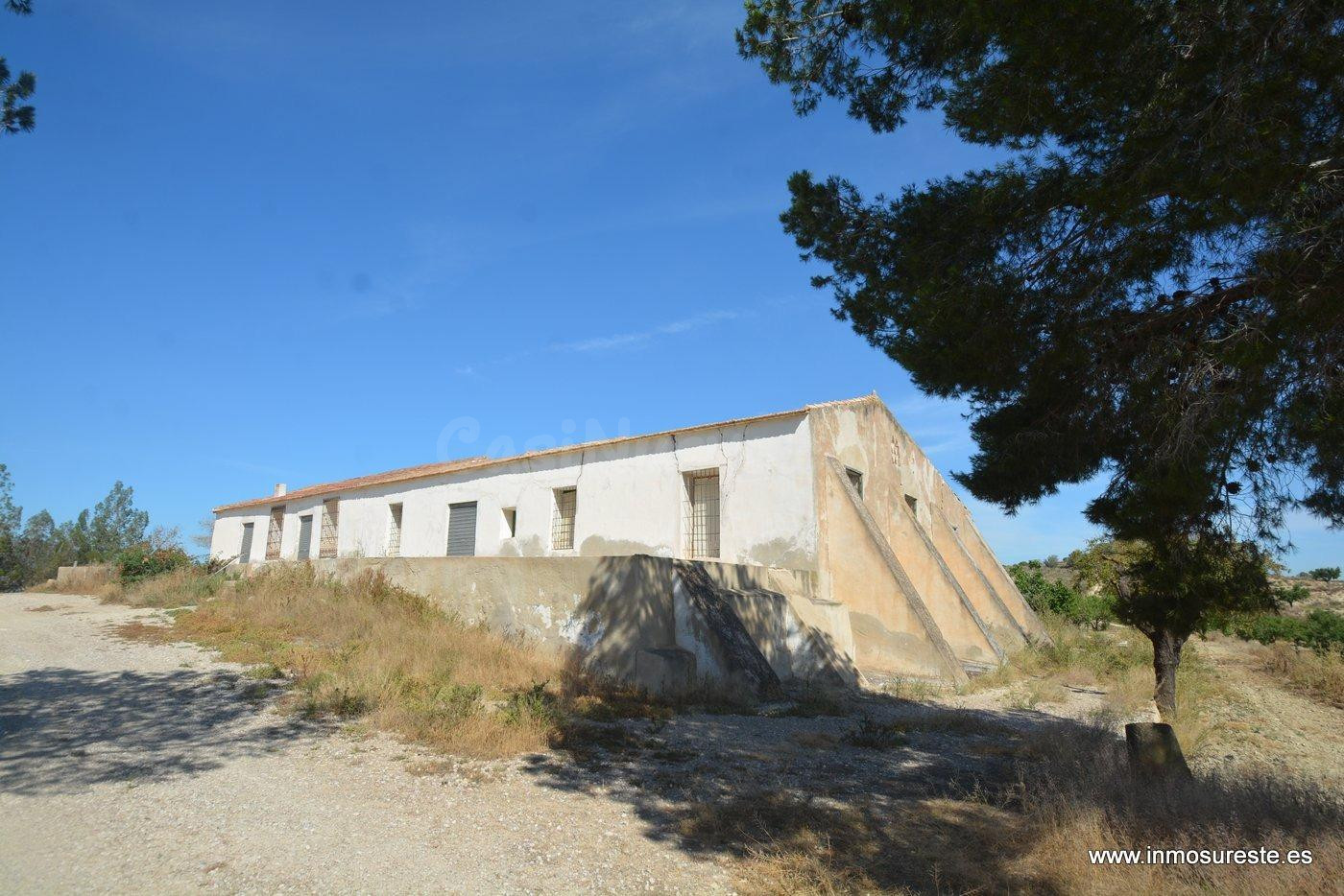 ¡¡ PRECIO REBAJADO !! Estupenda finca rústica de unos 407.00 - foto 2