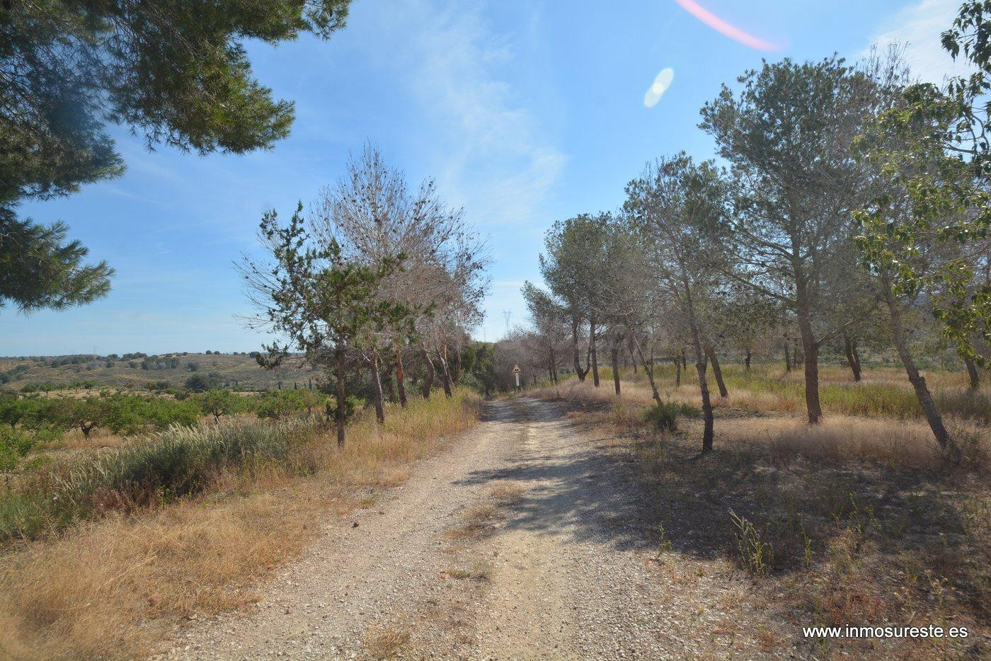 ¡¡ PRECIO REBAJADO !! Estupenda finca rústica de unos 407.00 - foto 4