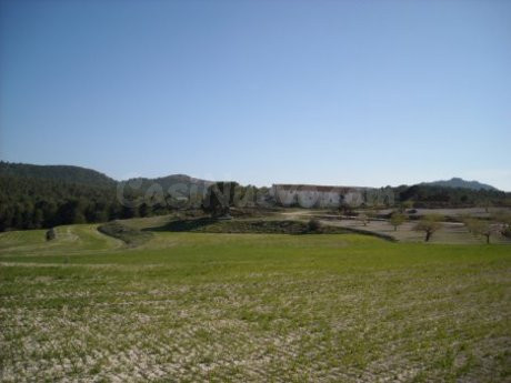 Parcela en venta - Moratalla - foto 2