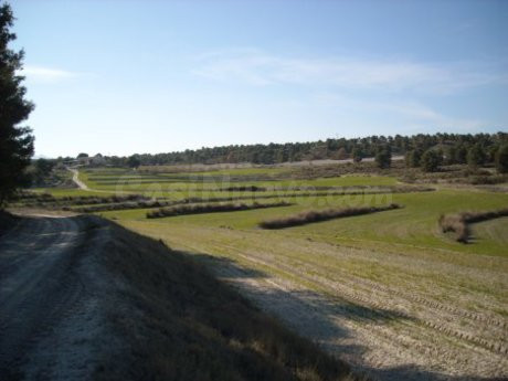 Parcela en venta - Moratalla - foto 3
