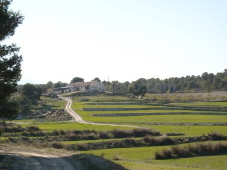 Parcela en venta - Moratalla - foto 5