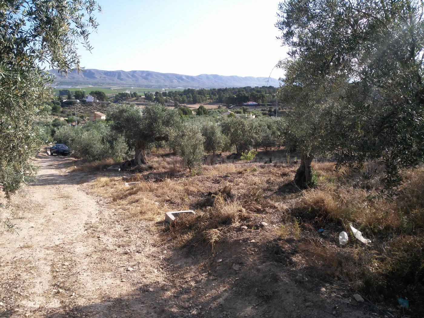 Parcela en venta - Calasparra - foto 4