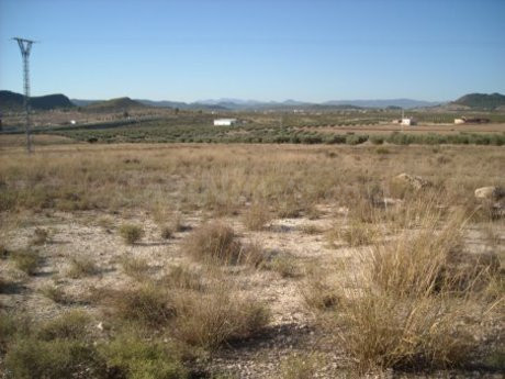 Terreno industrial 70000m² en venta - Calasparra