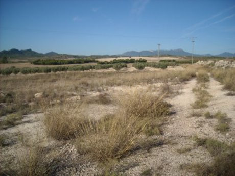 Terreno industrial 70000m² en venta - Calasparra - foto 3
