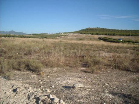 Terreno industrial 70000m² en venta - Calasparra - foto 4