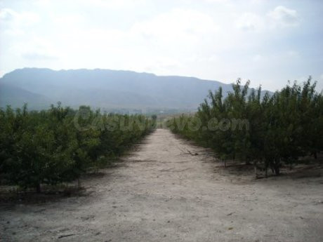 Parcela 30000m² en venta - Calasparra - foto 3