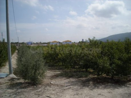 Parcela 30000m² en venta - Calasparra - foto 5