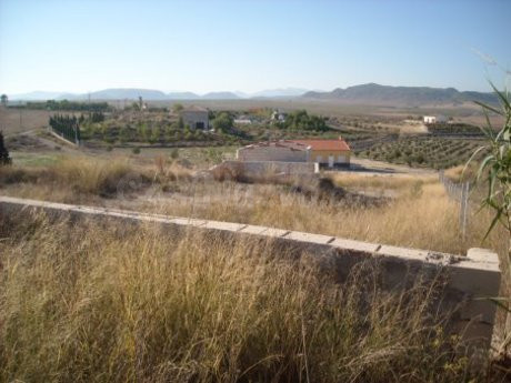 Parcela 5300m² en venta - Calasparra - foto 5