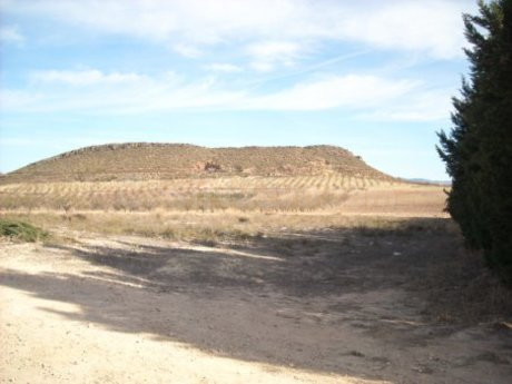 Parcela 3000m² en venta - Calasparra