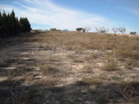 Parcela 3000m² en venta - Calasparra - foto 3
