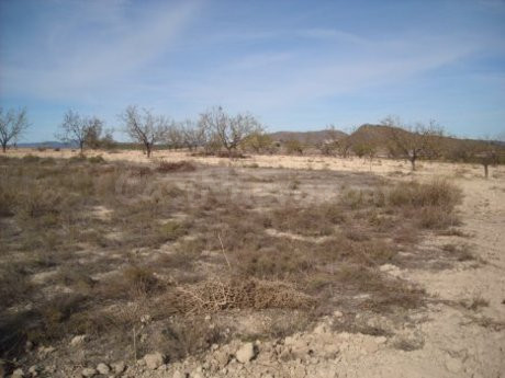 Parcela 3000m² en venta - Calasparra - foto 5