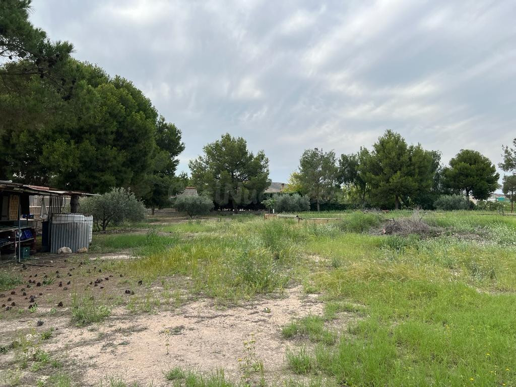 FINCA RUSTICA EN SANGONERA LA SECA