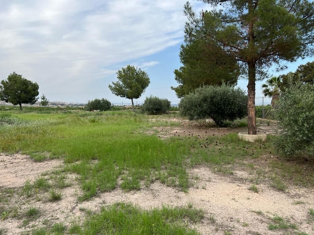 FINCA RUSTICA EN SANGONERA LA SECA - foto 2