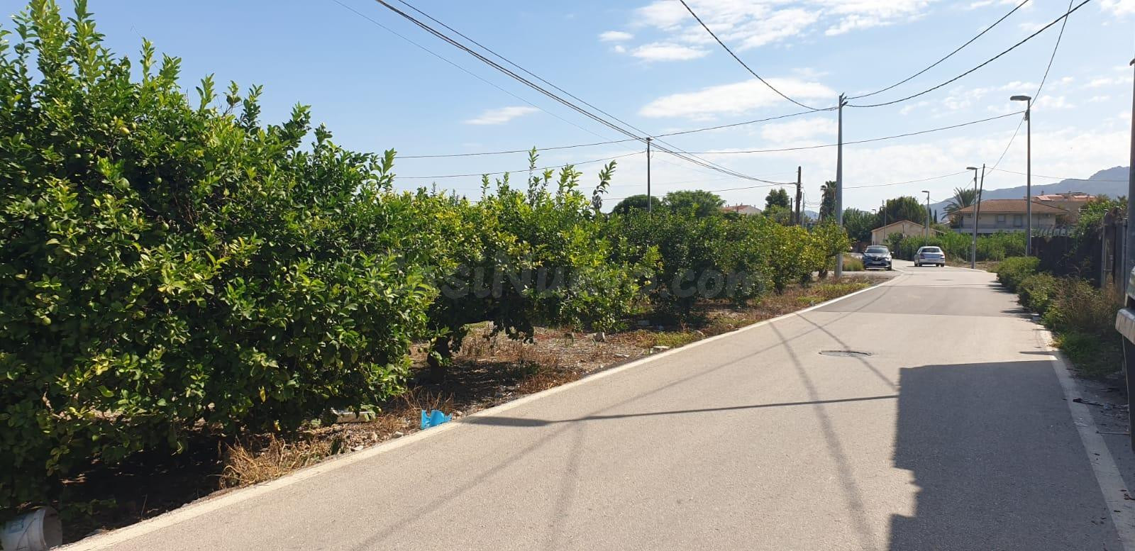 Parcela urbana con 2.763 m2 en Aljucer para hacerse una vivi - foto 3