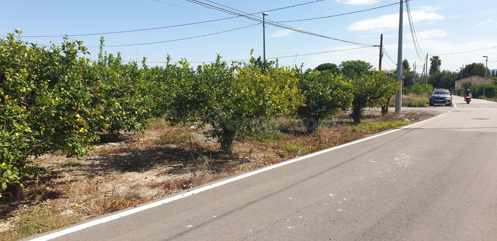 Parcela urbana con 2.763 m2 en Aljucer para hacerse una vivi - foto 4