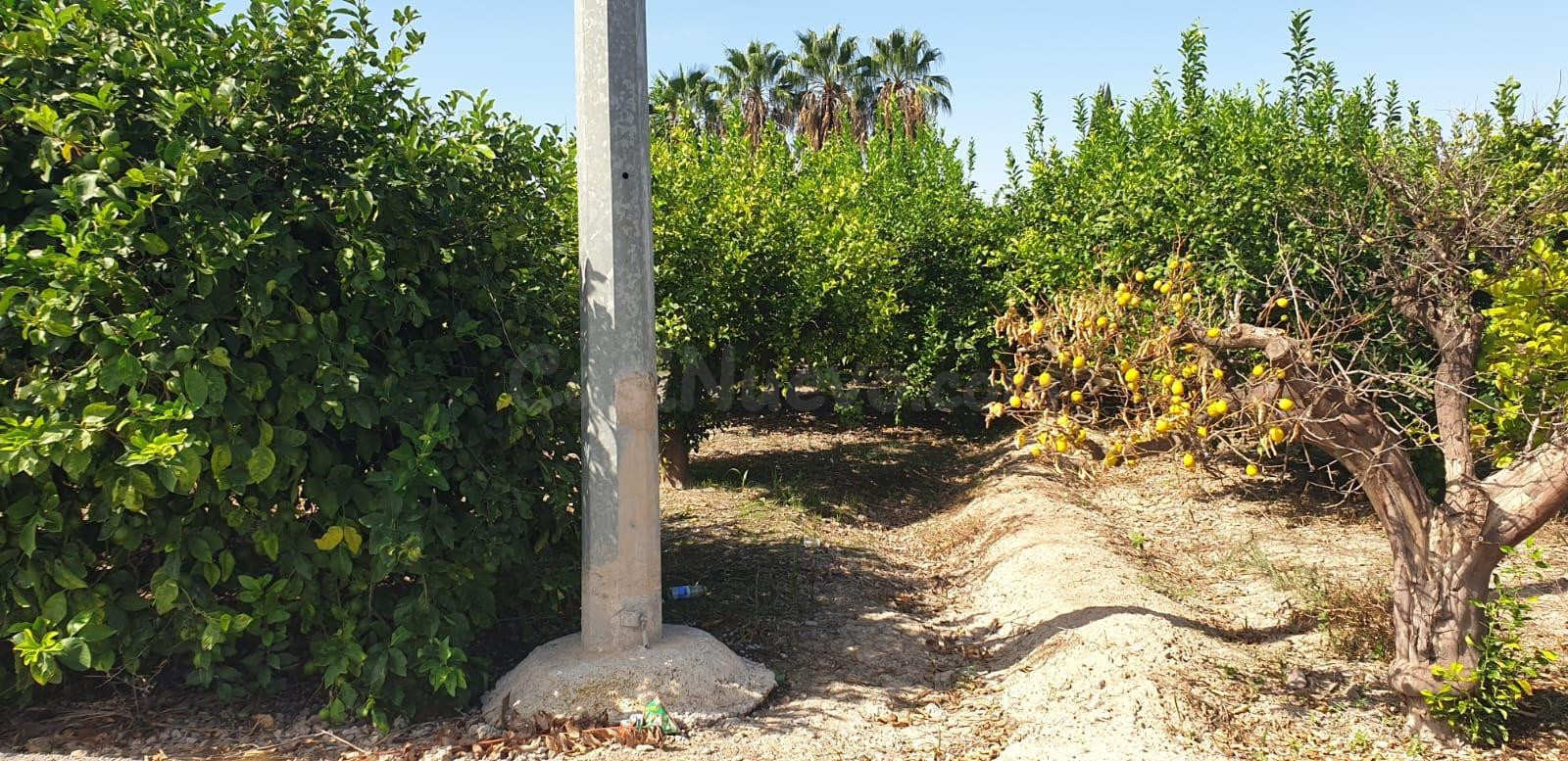Parcela urbana con 2.763 m2 en Aljucer para hacerse una vivi - foto 5