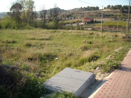 Parcela en venta - Calasparra - foto 5