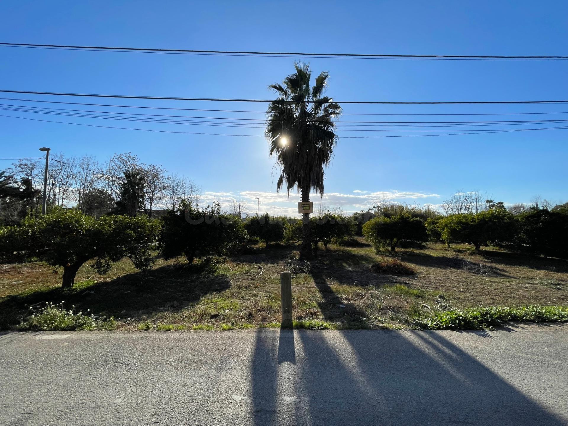 Terreno Urbanizable en Nonduermas, Murcia - Oportunidad Únic - foto 2