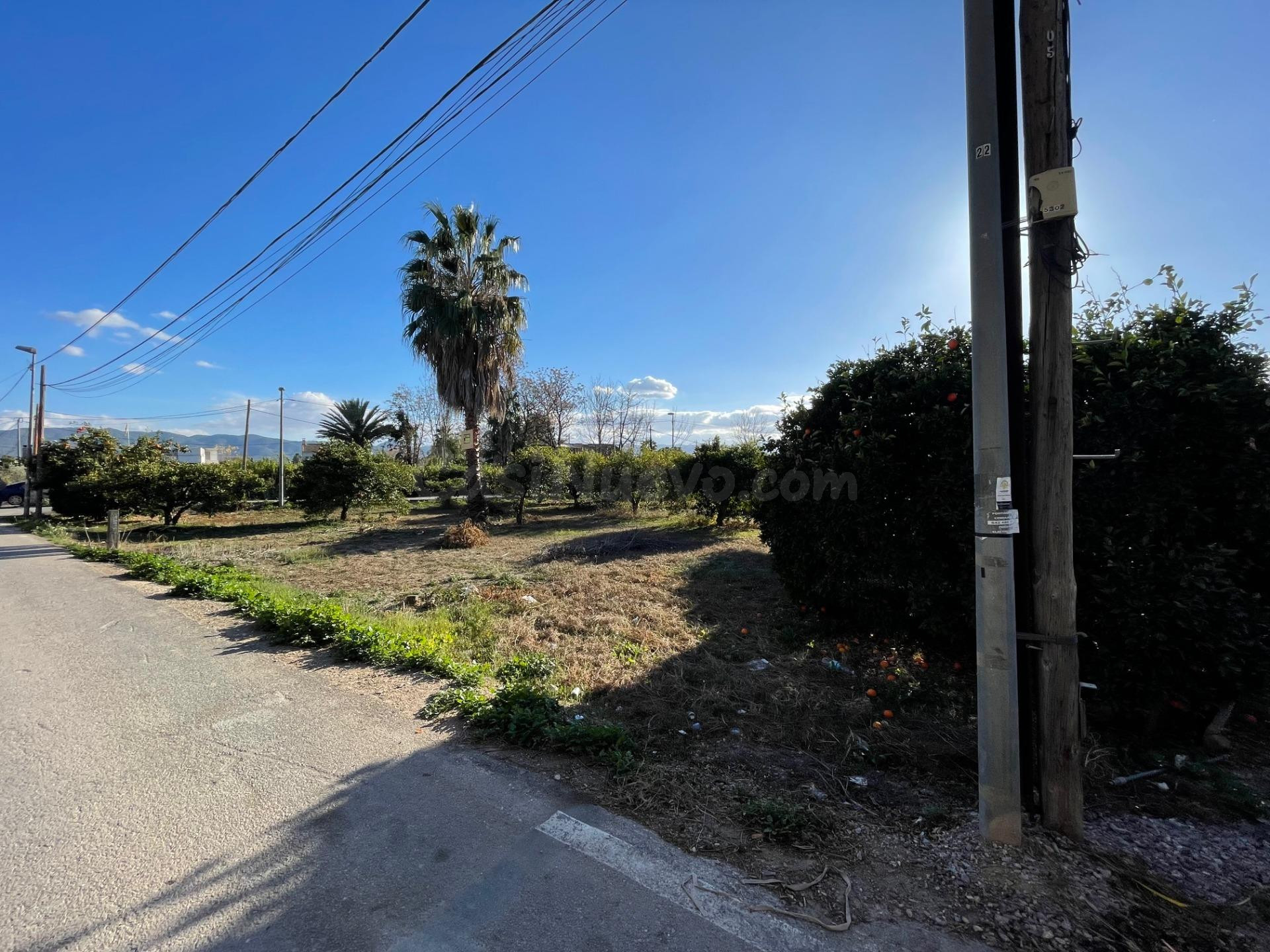 Terreno Urbanizable en Nonduermas, Murcia - Oportunidad Únic - foto 3