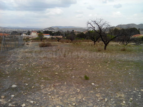 Parcela en venta - Calasparra - foto 4